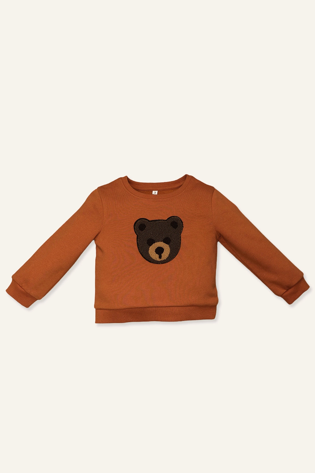 Baby Boys Orange Sweat Shirt