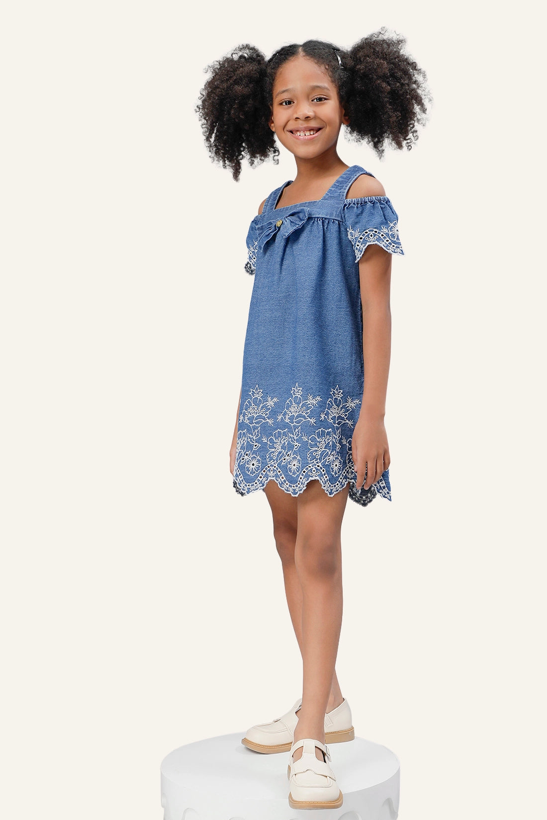 Girls Blue Embroidered Dress