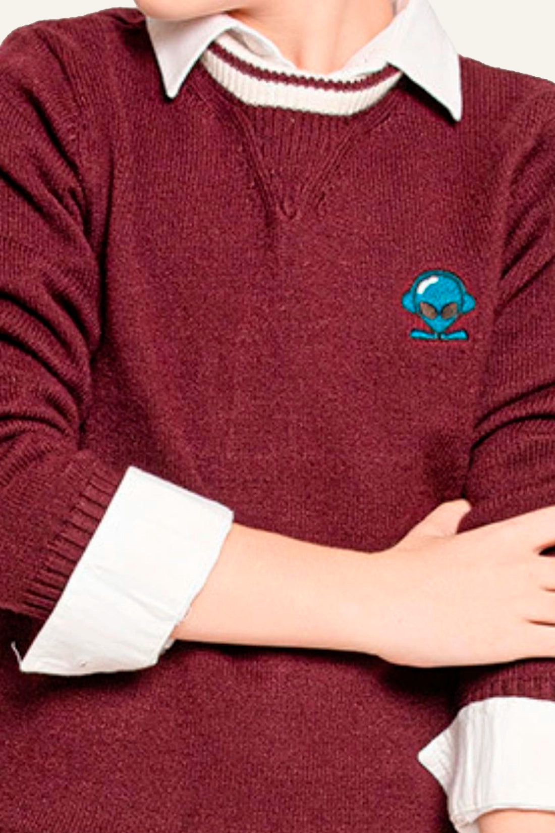 Boys Burgundy Sweater