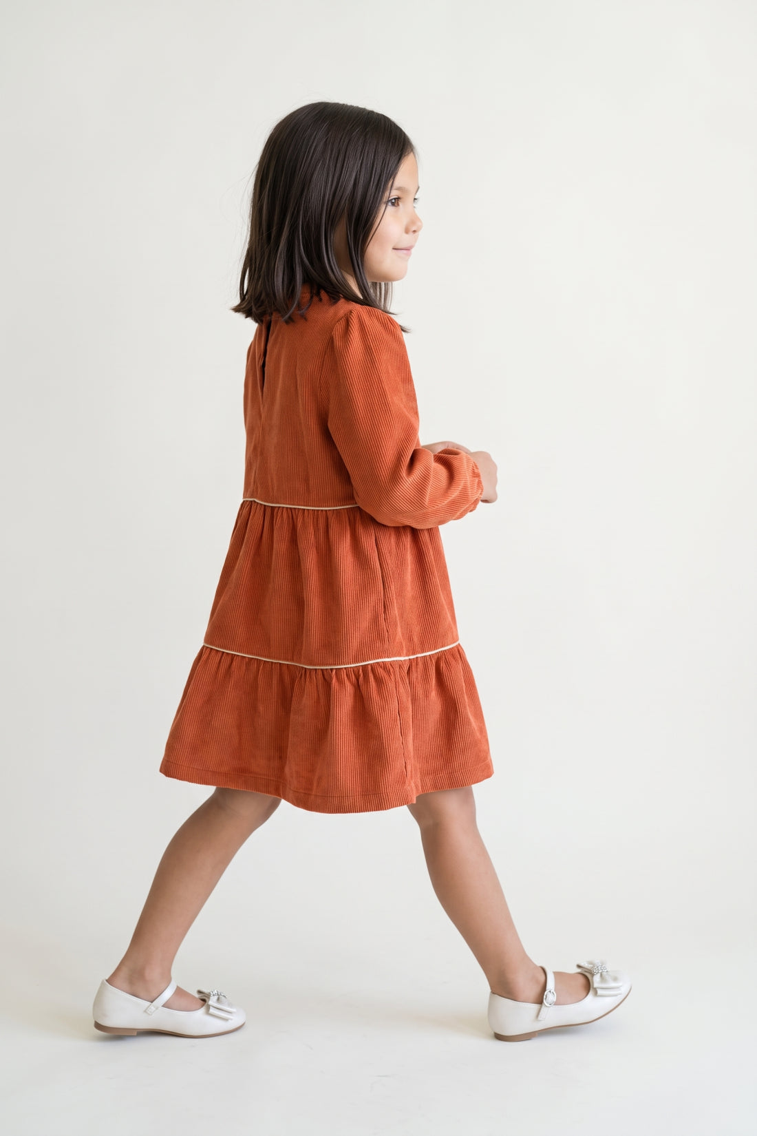 Rust Embellished Corduroy Stand Collar Dress