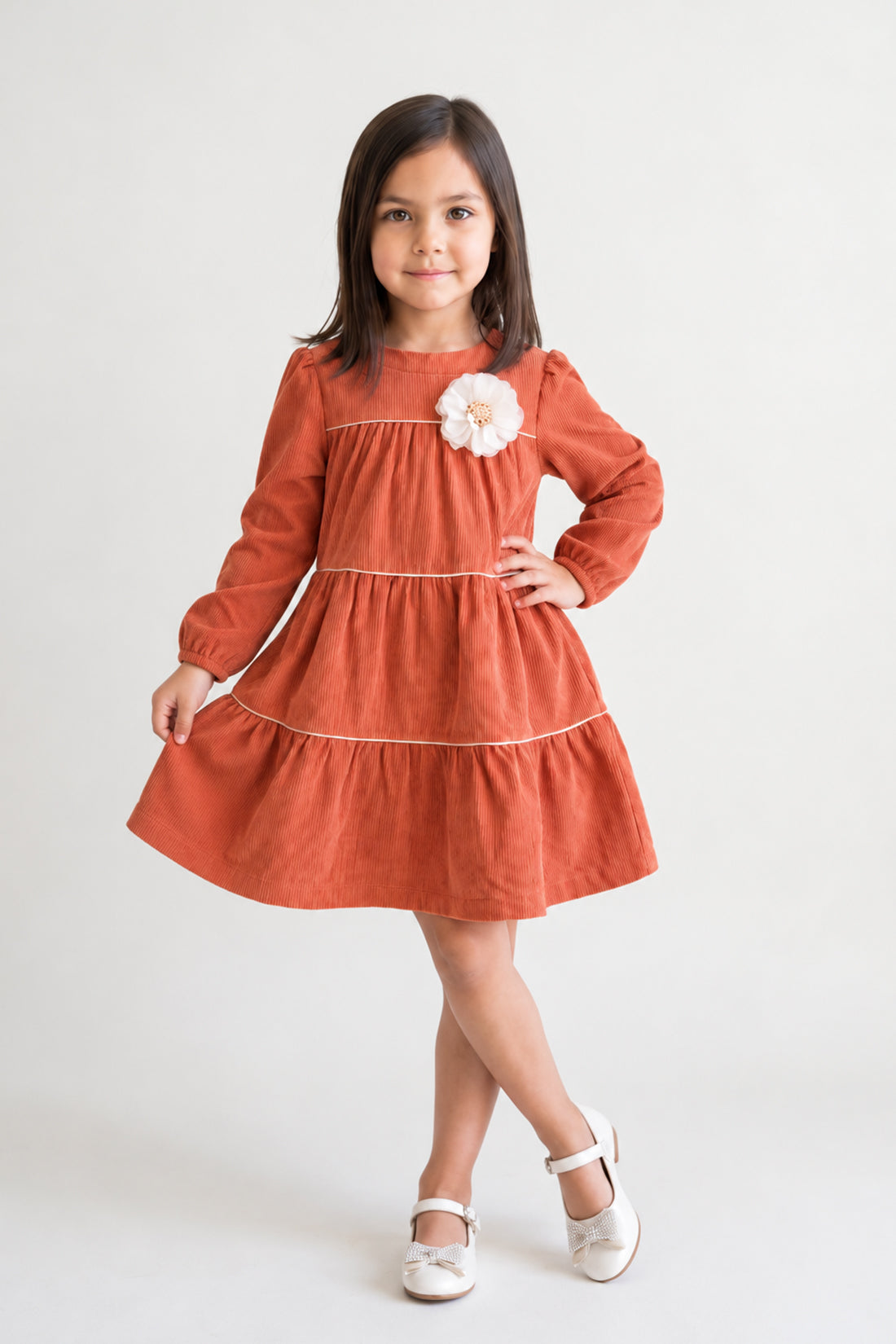 Rust Embellished Corduroy Stand Collar Dress