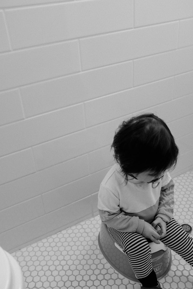 potty training your toddler