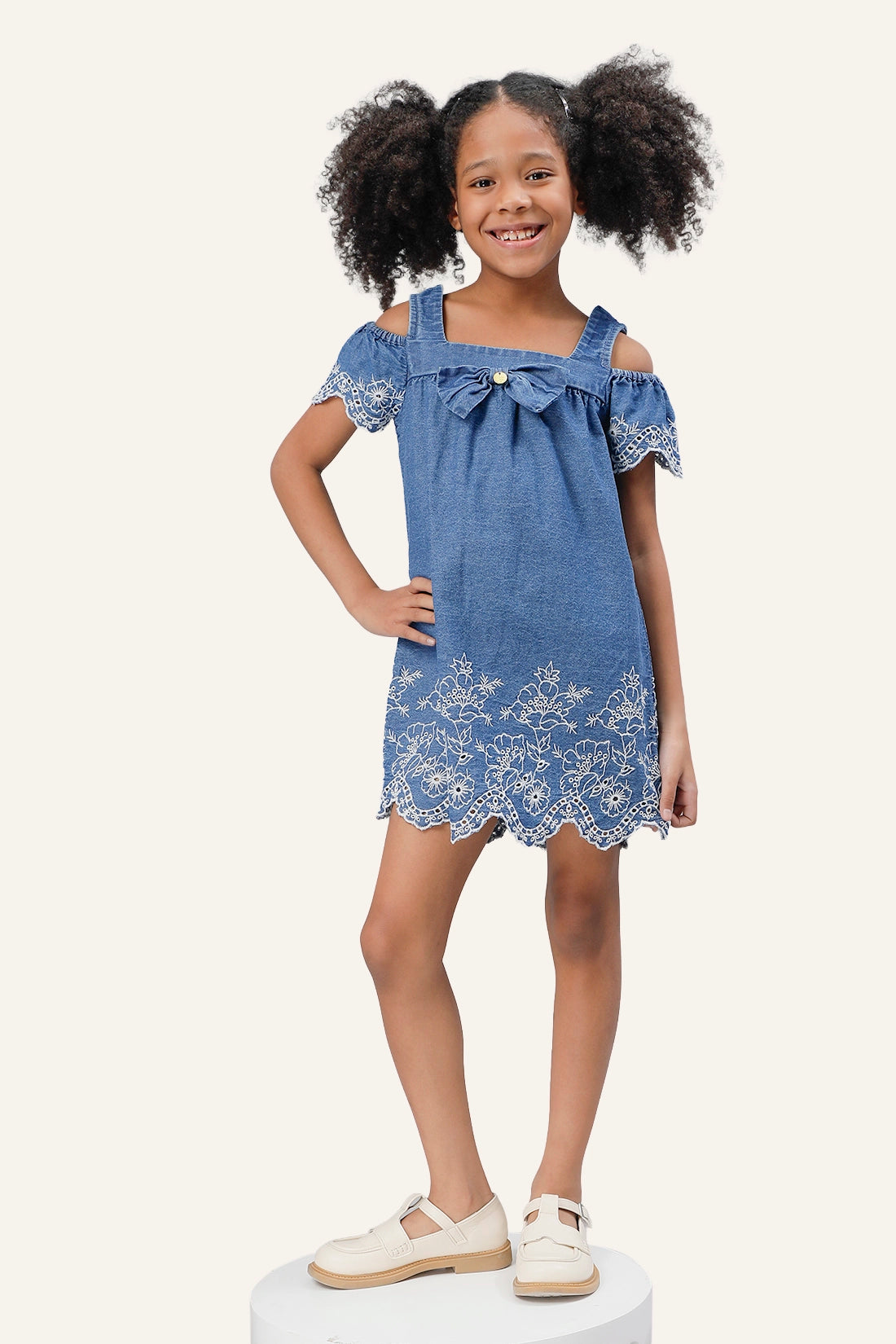 Girls Blue Embroidered Dress