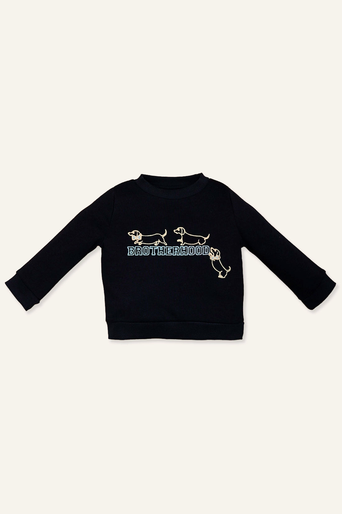 Baby Boys Navy Blue Sweatshirt