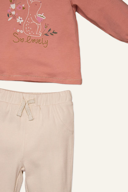 Baby Girls Pink Top with Leggings