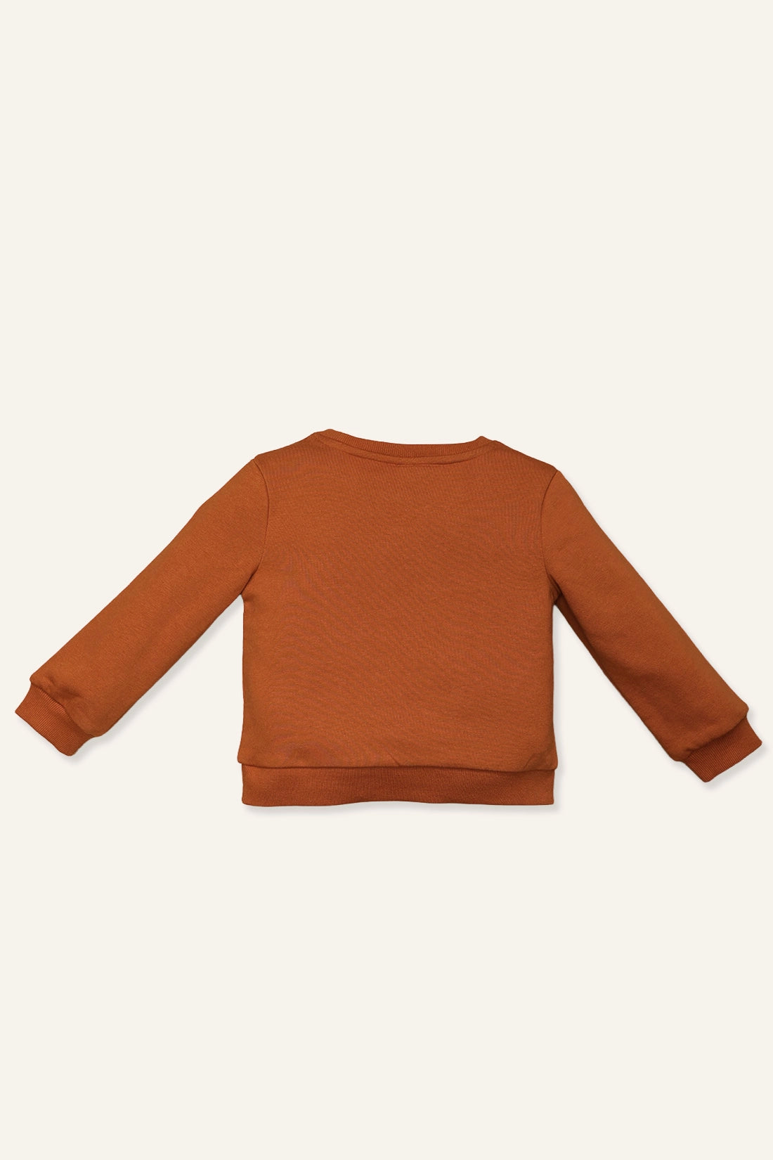 Baby Boys Orange Sweat Shirt