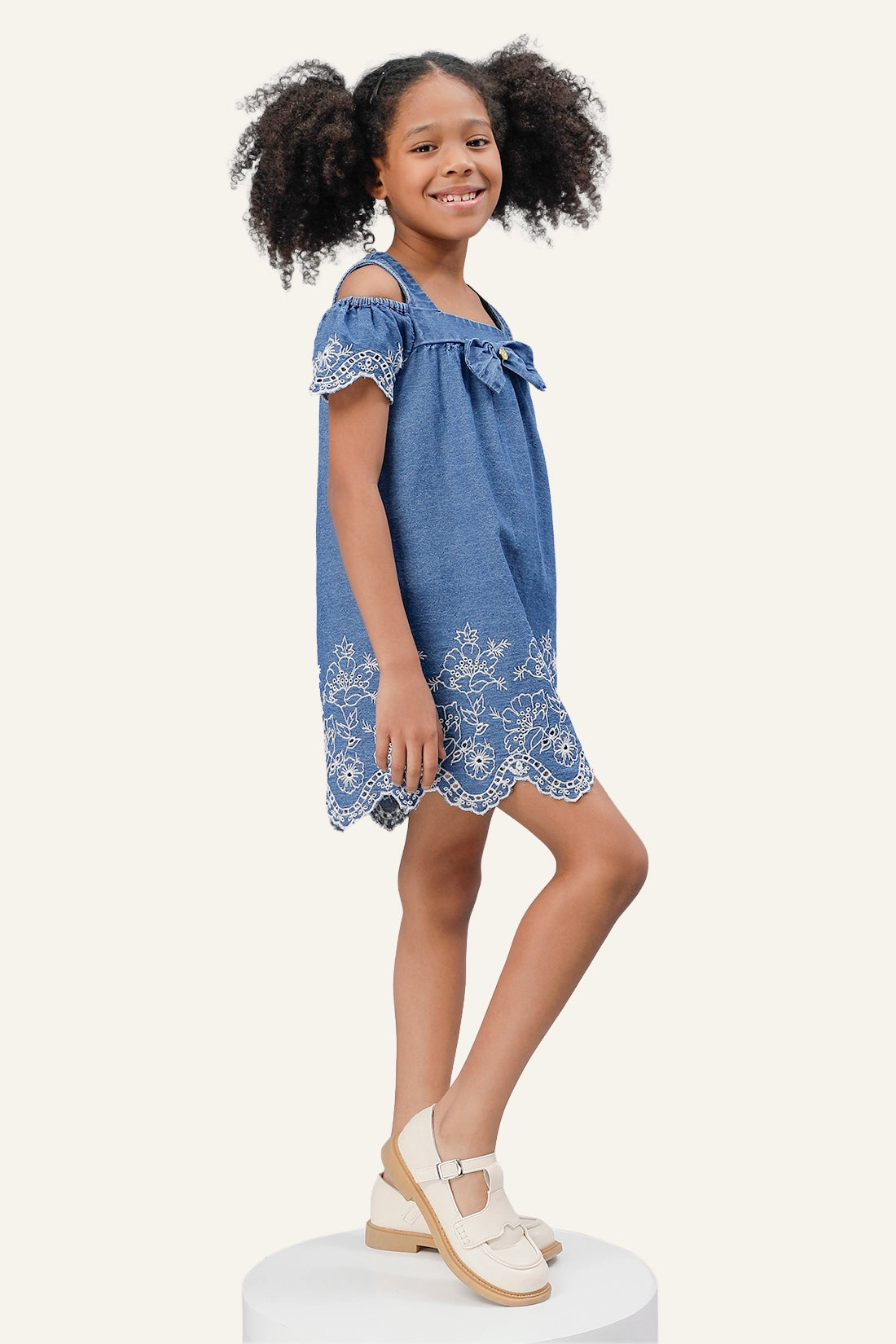 Girls Blue Embroidered Dress