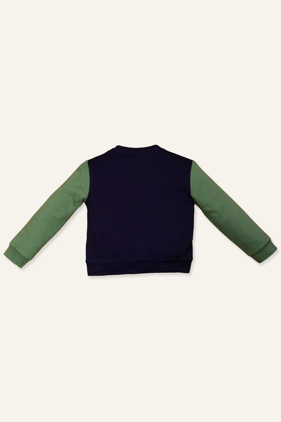 Baby Boys Blue & Green Sweat Shirt