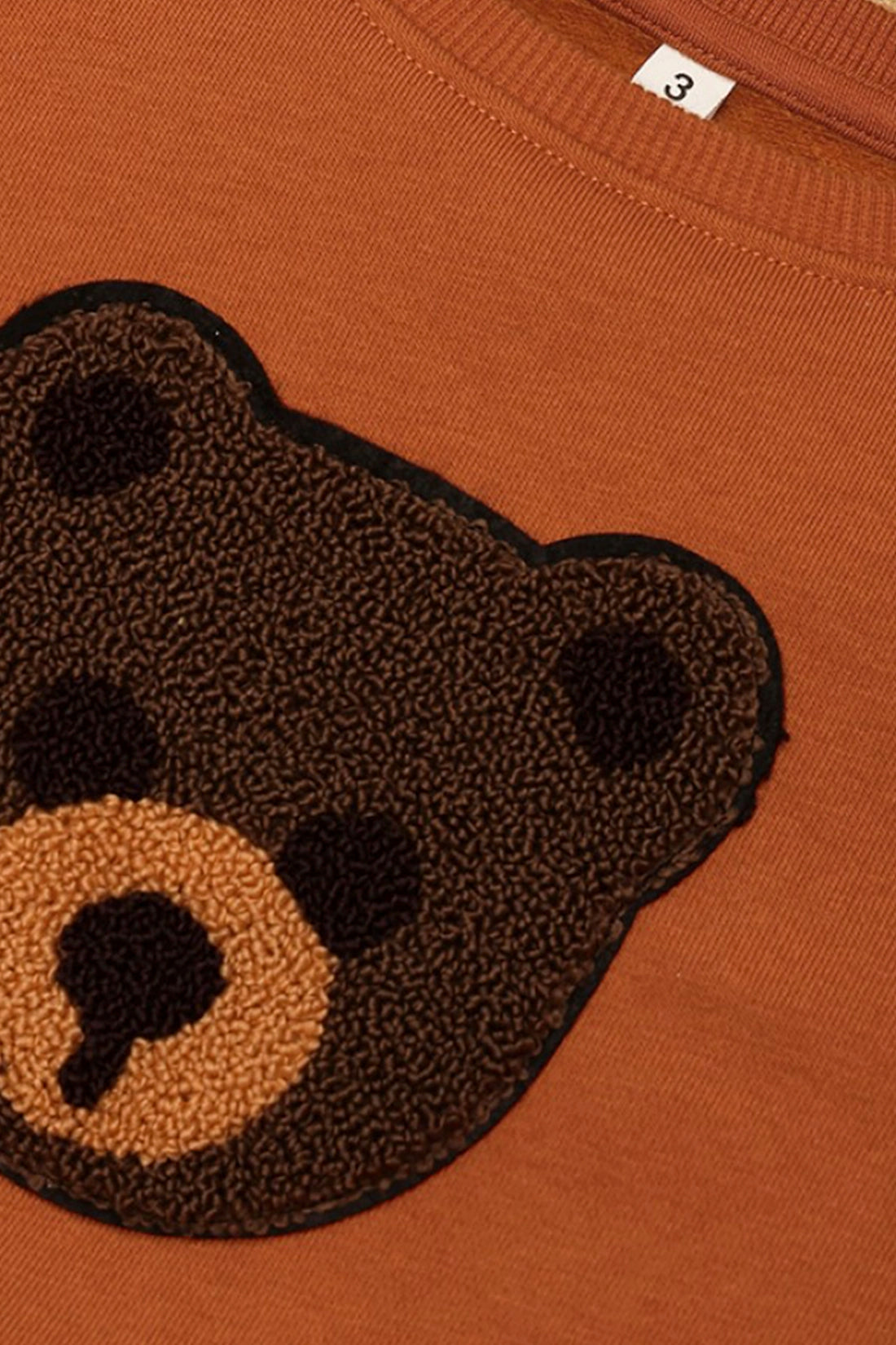 Baby Boys Orange Sweat Shirt