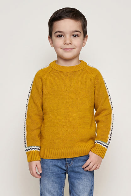 Boys Mustard Acrylic Round Neck Sweater