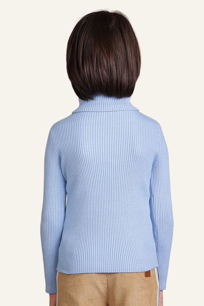 Boys Sky Blue Turtle Neck Jumper