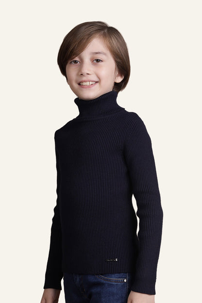 Boys Navy Blue Solid Jumper