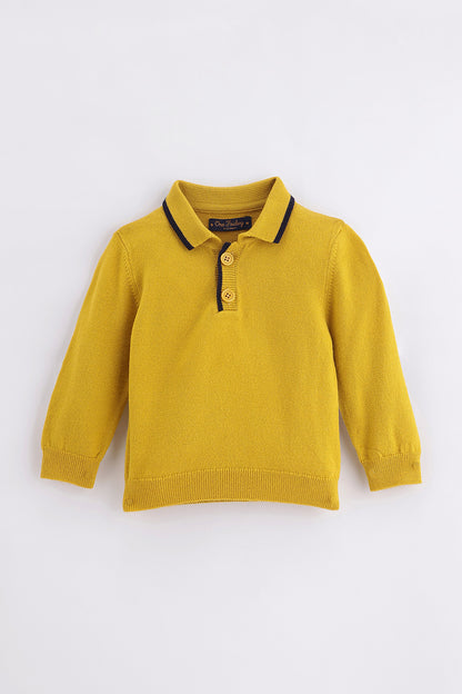 Baby Boys Mustard Knit Sweater