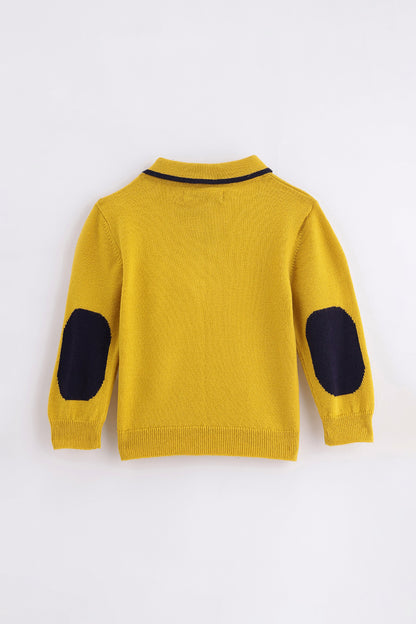 Baby Boys Mustard Knit Sweater