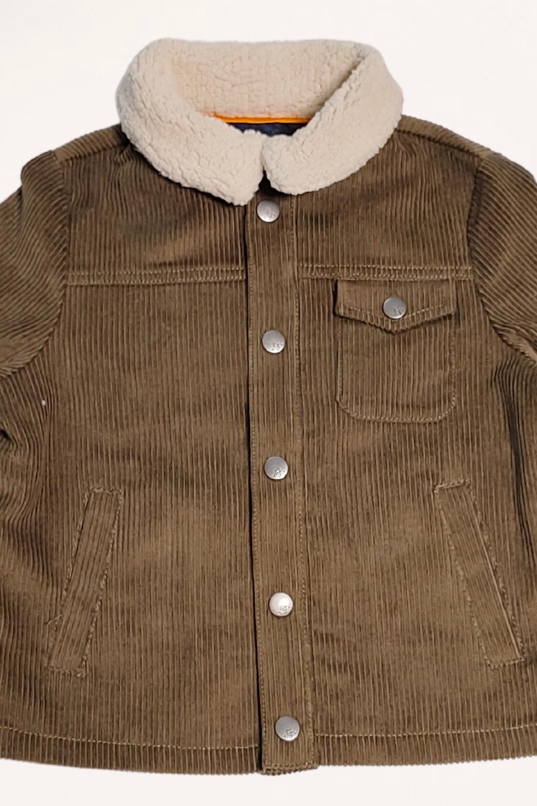 Kids Boys Green  Solid Jacket