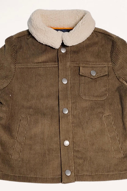 Kids Boys Green  Solid Jacket