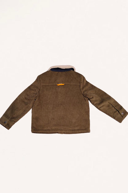 Kids Boys Green  Solid Jacket