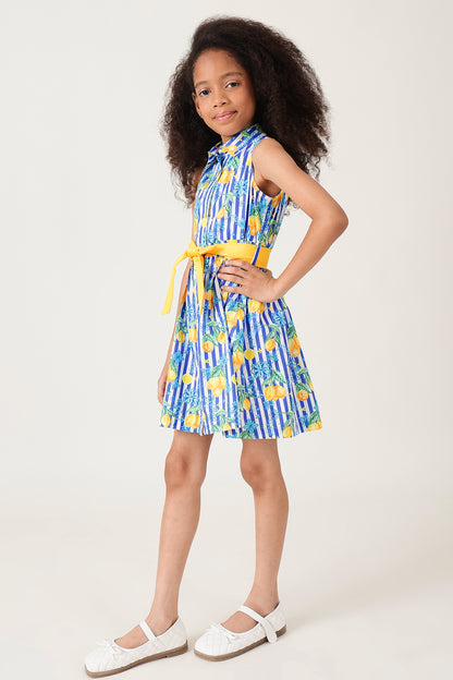Girls Multicolor Printed Shirt Dress By Sleeveless - One Friday