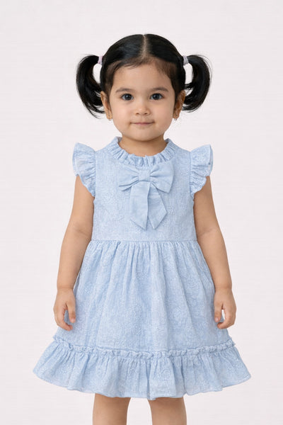 Baby Girls Blue Schiffli Cotton Dress