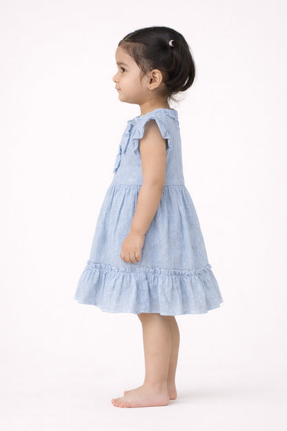 Baby Girls Blue Schiffli Cotton Dress