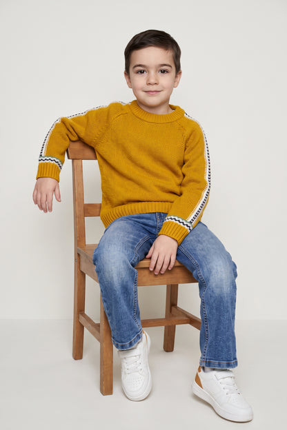 Boys Mustard Acrylic Round Neck Sweater