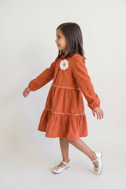Rust Embellished Corduroy Stand Collar Dress