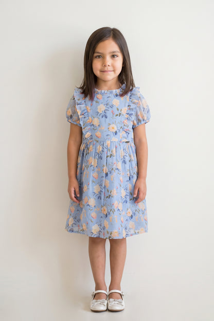 Blue Printed Chiffon Lurex Half Sleeve Dress