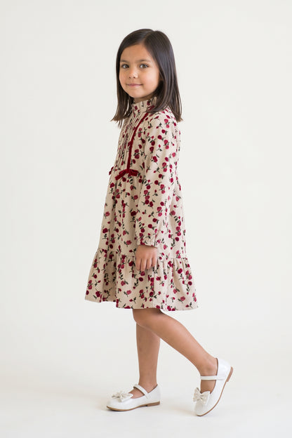 Multi Printed Polyester Classic Full Sleeve Dress