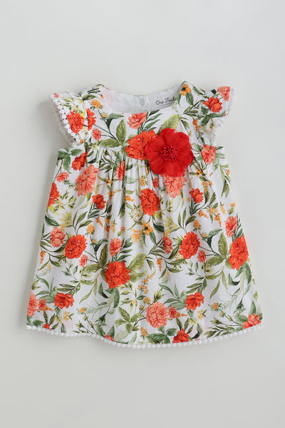 Baby Girls A-line Floral Printed Dress