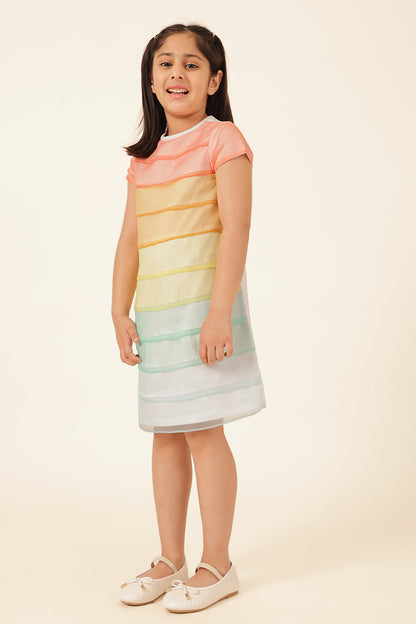 Girls Multi Organza Blend Dress