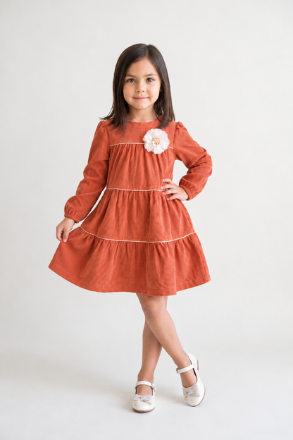 Rust Embellished Corduroy Stand Collar Dress